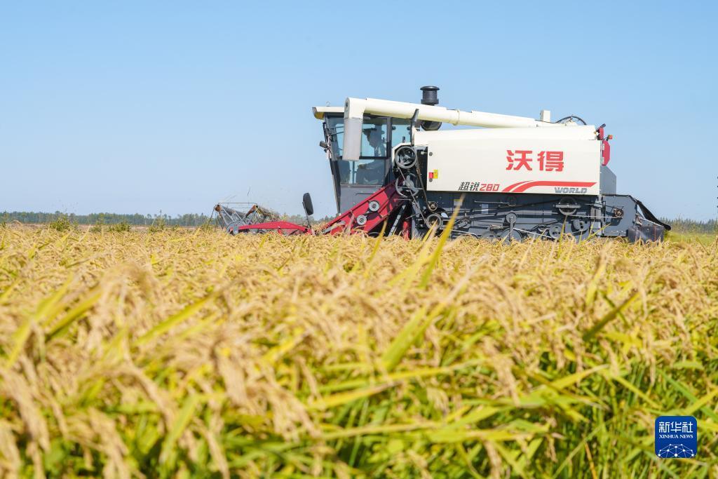 888游戏平台老虎机