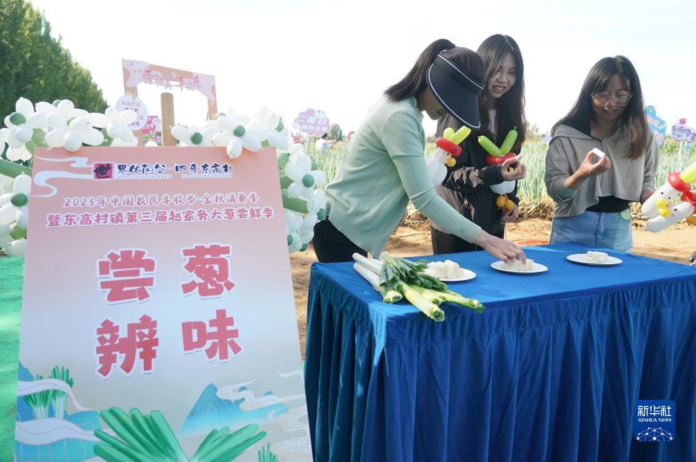 开心川麻免费金币卡